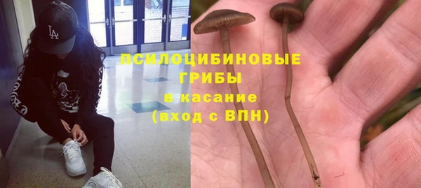 кокаин перу Каменногорск