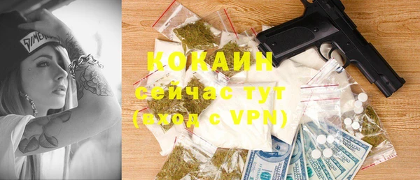 бошки Каменка