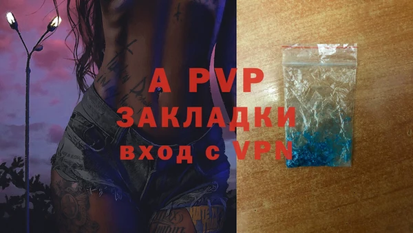 бошки Каменка