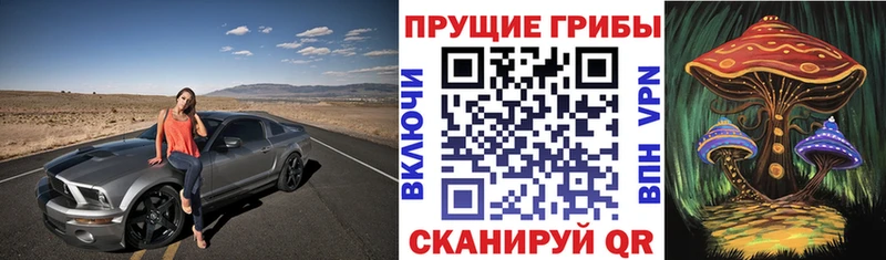 Псилоцибиновые грибы GOLDEN TEACHER  Купить закладки  Краснокаменск 